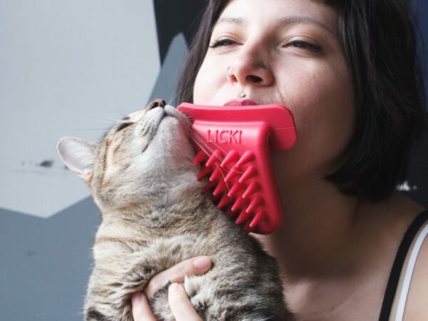 Borsta katten med munnen