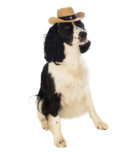 Cowboyhatt till hund