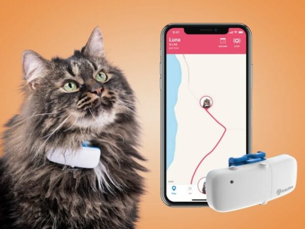 GPS katt